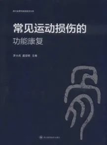 常见运动损伤的功能康复