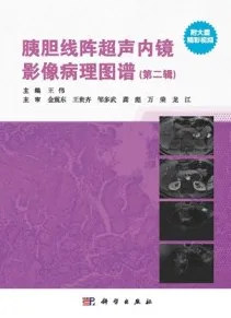 胰胆线阵超声内镜影像病理图谱（第二辑）