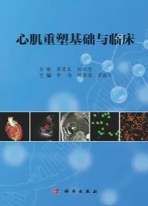 心肌重塑基础与临床