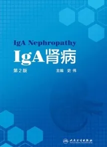 IgA肾病 第2版
