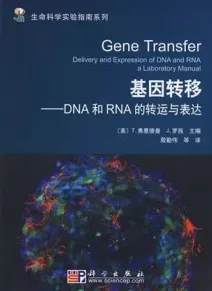 基因转移 DNA和RNA的转运与表达