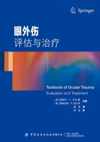 眼外伤 评估与治疗