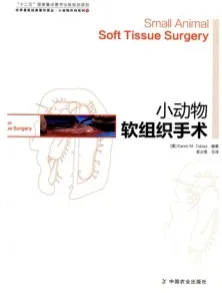 小动物软组织手术