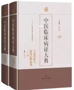 中医临床病证大典 气血津液与肢体经络病卷 上下册