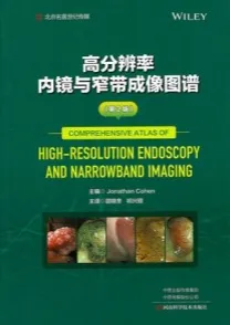 高分辨率内镜与窄带成像图谱 第2版