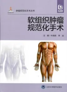 肿瘤规范化手术丛书 软组织肿瘤规范化手术