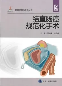 肿瘤规范化手术丛书 结直肠癌规范化手术