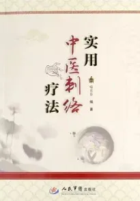 实用中医刺络疗法
