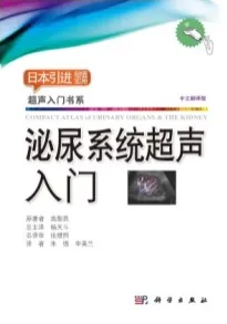 泌尿系统超声入门