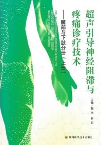 超声引导神经阻滞与疼痛诊疗技术 髋部与下肢分册 上下册