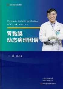 胃黏膜动态病理图谱