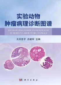 实验动物肿瘤病理诊断图谱