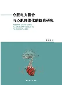 心脏电力耦合与心肌纤维化的仿真研究