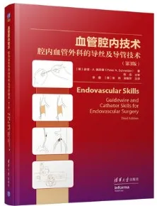 血管腔内技术 腔内血管外科的导丝及导管技术 第3版