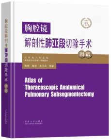 胸腔镜解剖性肺亚段切除手术图谱