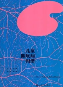 儿童眼底病图谱