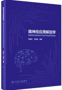 脑神经应用解剖学