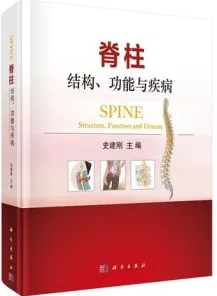脊柱 结构、功能与疾病