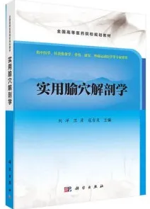 实用腧穴解剖学