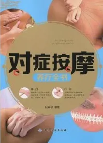 对症按摩养疗全书