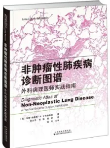 非肿瘤性肺疾病诊断图谱 外科病理医师实践指南