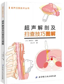 超声解剖及扫查技巧图解