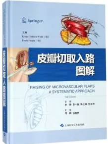 皮瓣切取入路图解