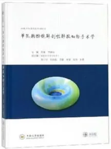 单孔胸腔镜解剖性肺段切除手术学