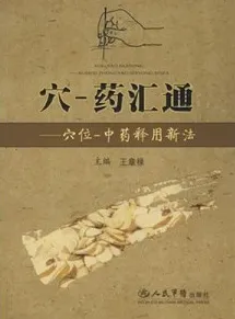 穴-药汇通：穴位-中药释用新法