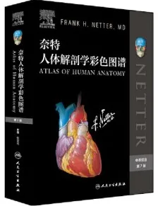 奈特人体解剖学彩色图谱 第7版