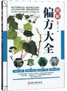图解偏方大全