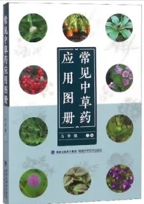 常见中草药应用图册