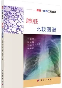 肺脏比较图谱