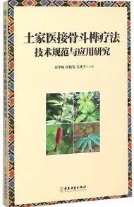 土家医接骨斗榫疗法技术规范与应用研究