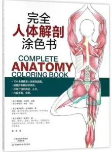 完全人体解剖涂色书