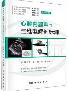 心腔内超声与三维电解剖标测