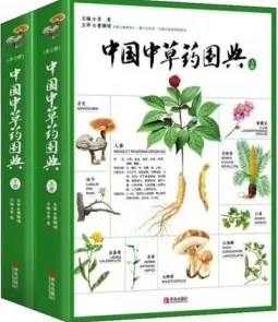 中国中草药图典 上下册
