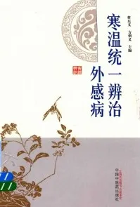 寒温统一辨治 外感病