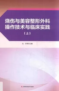 烧伤与美容整形外科操作技术与临床实践 上下