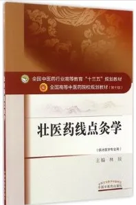 壮医药线点灸学 全国高等中医药院校规划教材（第十版）