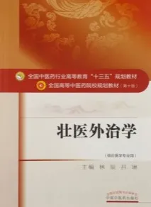 壮医外治学 全国高等中医药院校规划教材（第十版）