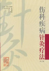 伤科疾病针灸疗法 第2版