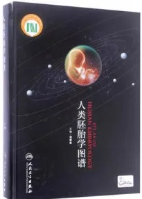 人类胚胎学图谱