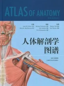 人体解剖学图谱