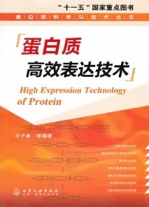 蛋白质高效表达技术