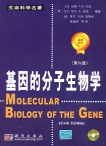 基因的分子生物学（第六版）