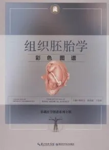 组织胚胎学彩色图谱
