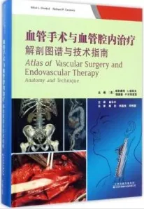 血管手术与血管腔内治疗 解剖图谱与技术指