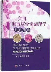 实用血液病骨髓病理学彩色图谱