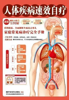 人体疾病速效自疗
